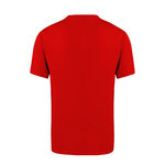 Camiseta Adulto Color Seiyo AMARILLO